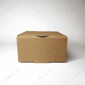 compress جعبه برگر از جلو scaled