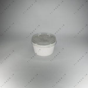 کاسه یکبار مصرف بستنی