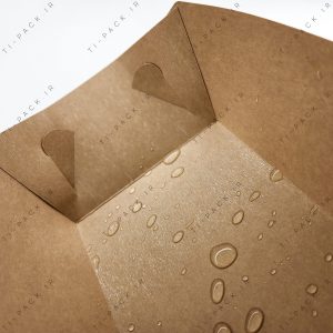 سینی کرافت ضد اب